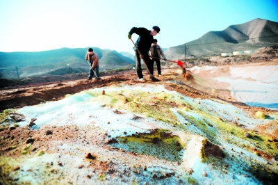 102858589.jpg gendiwuran0130.jpg